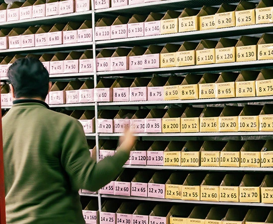 Closeup de los difernetes tipos de tornillos disponibles en San Luis Potosí por Torniplus